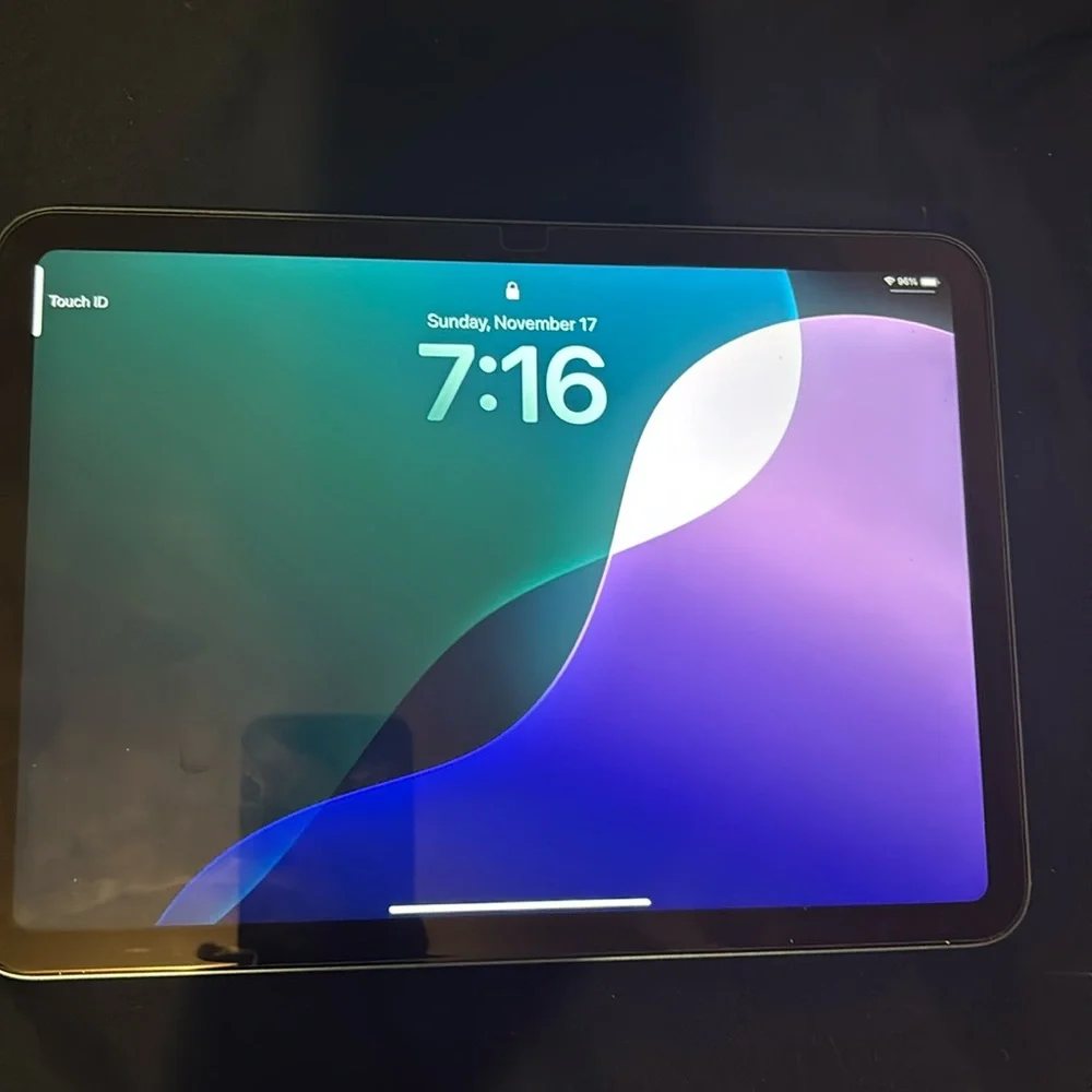 Apple Blue 10th Generation IPad